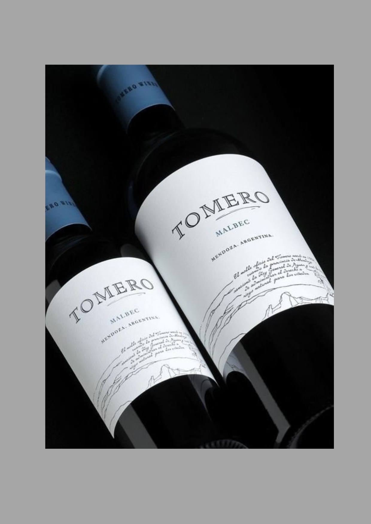 Tomero Reserva Malbec 2018, Lujan de Cuyo, Mendoza  - Bodega Vistalba