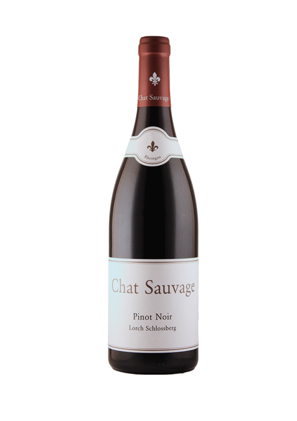 Pinot Noir Lorcher Schloßberg, trocken 2015 - Chat Sauvage