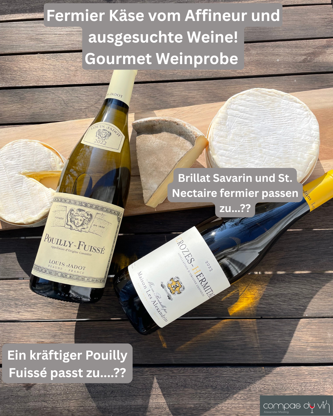 Gourmet Wine Tasting: Raw Milk Cheese and Wine